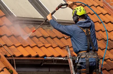 Démoussage et hydrofuge de toiture à Westhalten